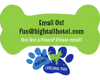 call us + email us hth (5)